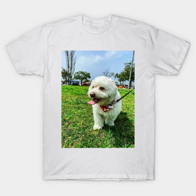 Cute puppy on a walk T-Shirt by GRKiT